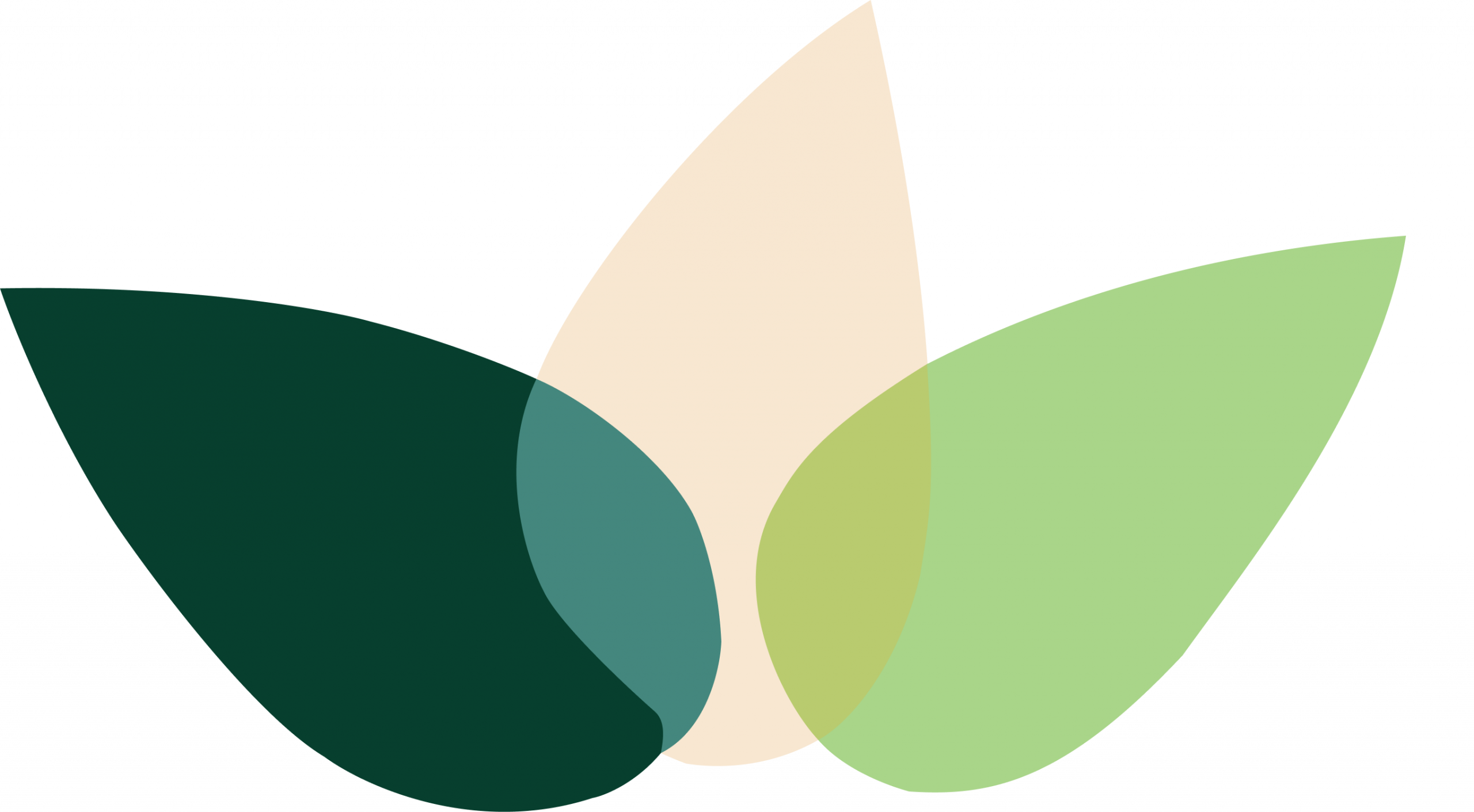 Aspire Education